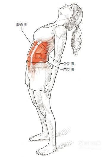 篮球训练法读后感怎么写_0